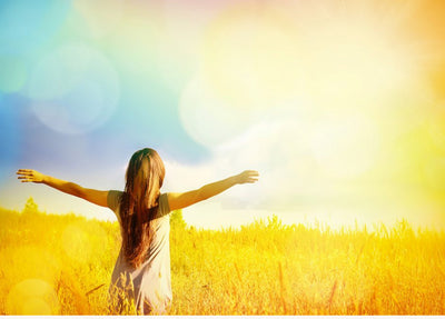 Gut Feeling: How Your Tummy Talks to Your Brain + Recipe